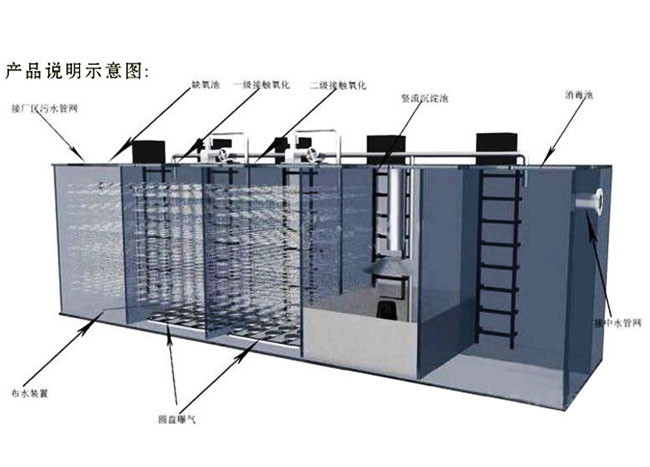 生活污水黑醋栗設備結(jié)構(gòu)圖